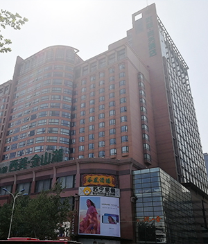 石家(jiā)莊市(shì)西(xī)美(měi)大(dà)廈